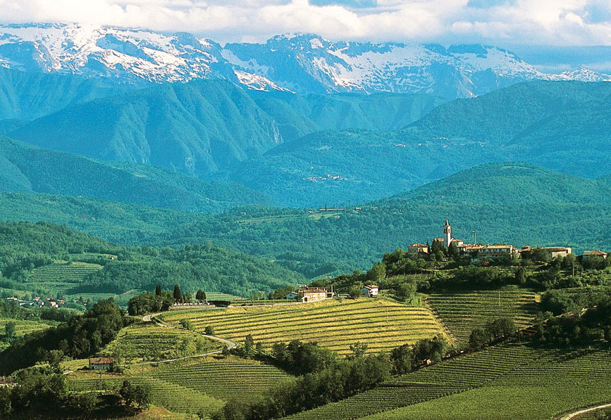 Eslovênia e seus vinhedos | Foto: Divulgação
