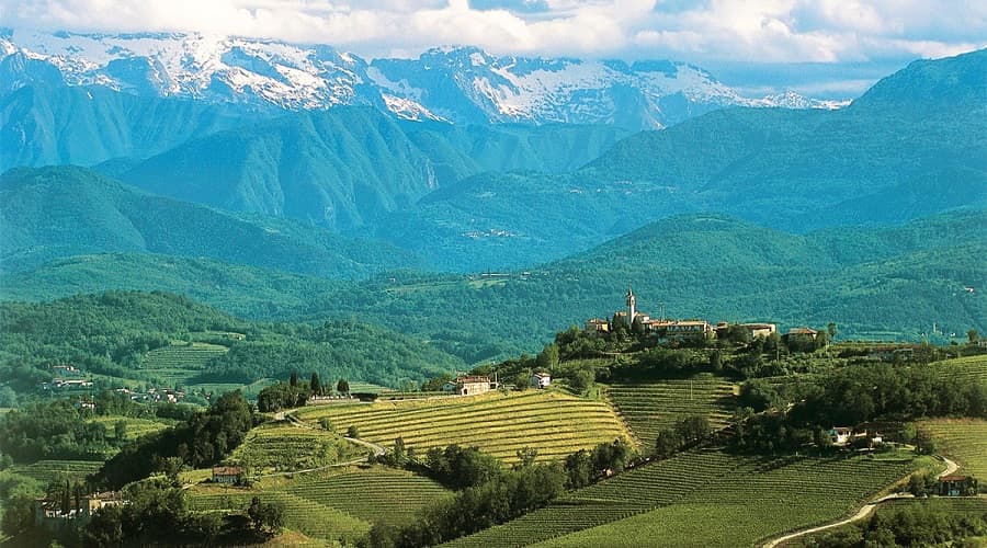 Eslovênia: palco do vinho | Foto: Divulgação